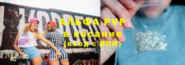шишки Горно-Алтайск