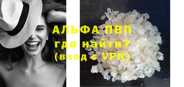 шишки Горно-Алтайск
