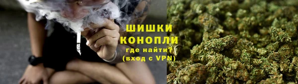 шишки Горно-Алтайск