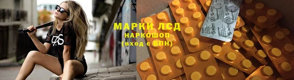 шишки Горно-Алтайск