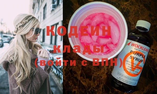 шишки Горно-Алтайск