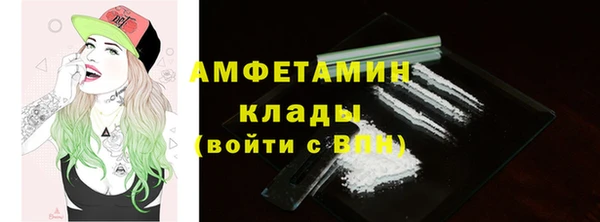 шишки Горно-Алтайск