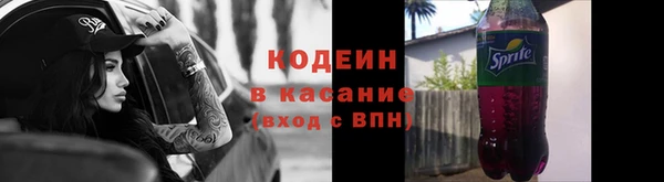 шишки Горно-Алтайск