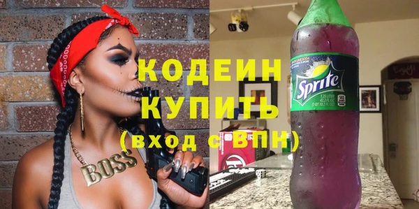 шишки Горно-Алтайск