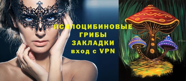 стафф Горняк