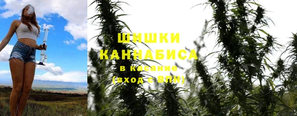 стафф Горняк