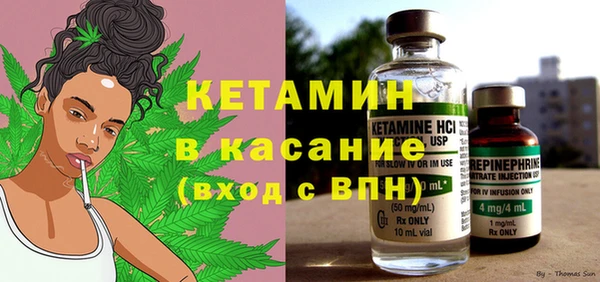 шишки Горно-Алтайск