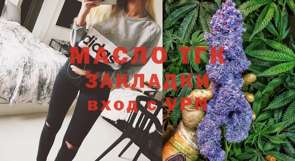 шишки Горно-Алтайск