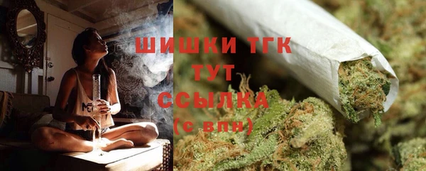 альфа пвп Горнозаводск