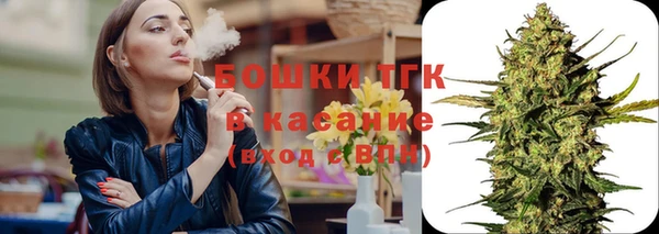 шишки Горно-Алтайск