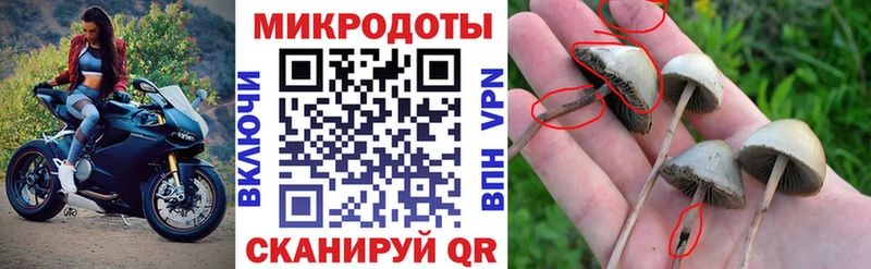 Псилоцибиновые грибы GOLDEN TEACHER Меленки